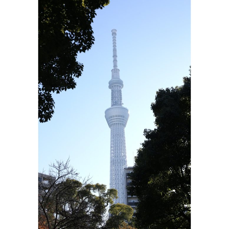 牛嶋神社の境内から見えるスカイツリー