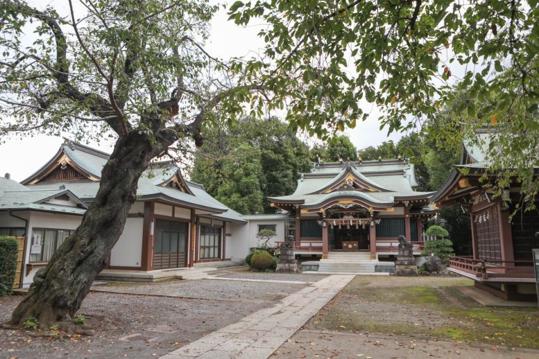 赤塚氷川神社 境内の様子