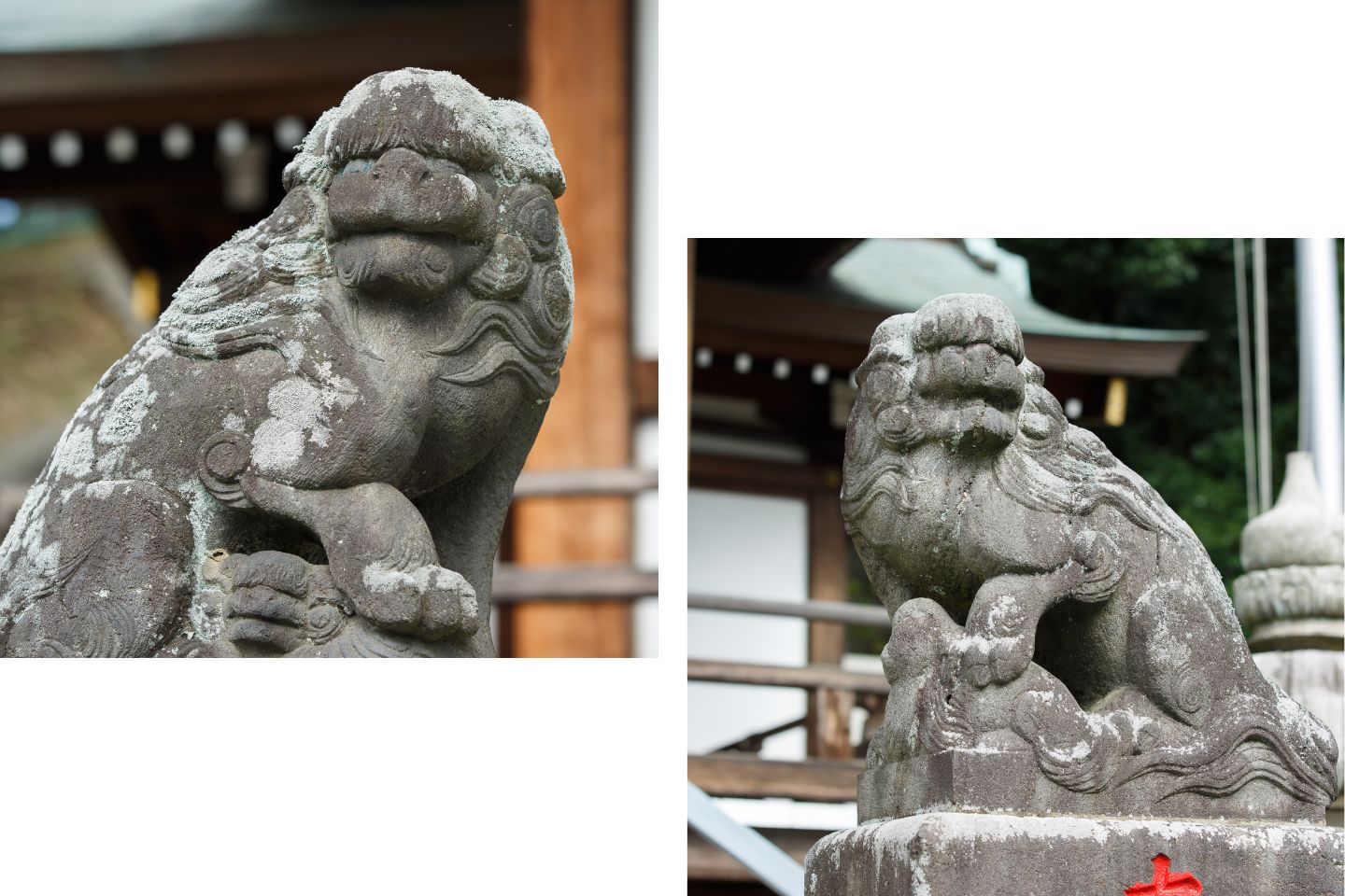 長津田 王子神社 狛犬
