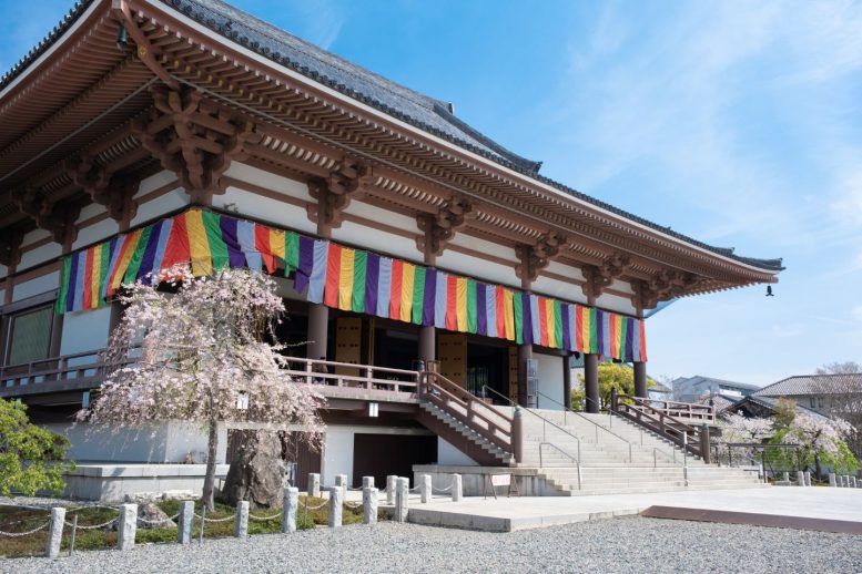 西新井大師 本堂前の桜