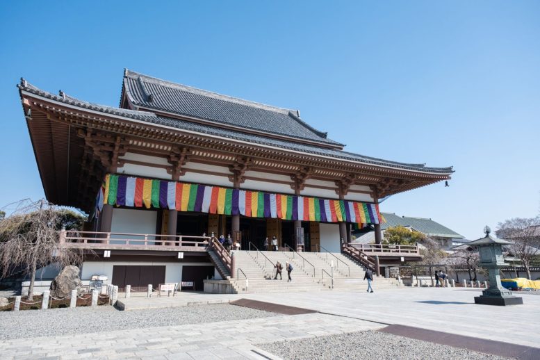 西新井大師 3月撮影