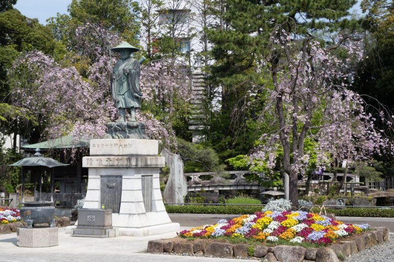 西新井大師 桜その7