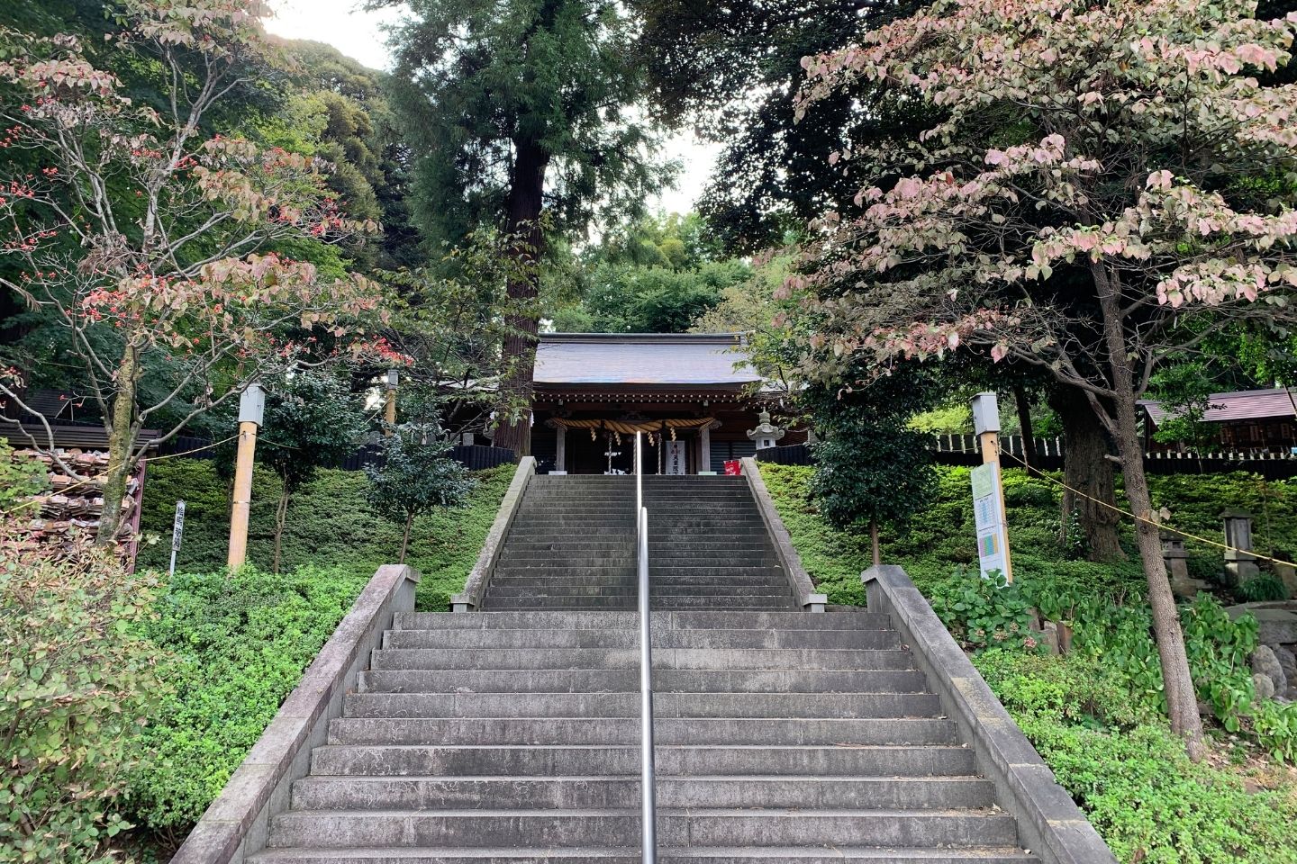 中氷川神社 本殿までの階段