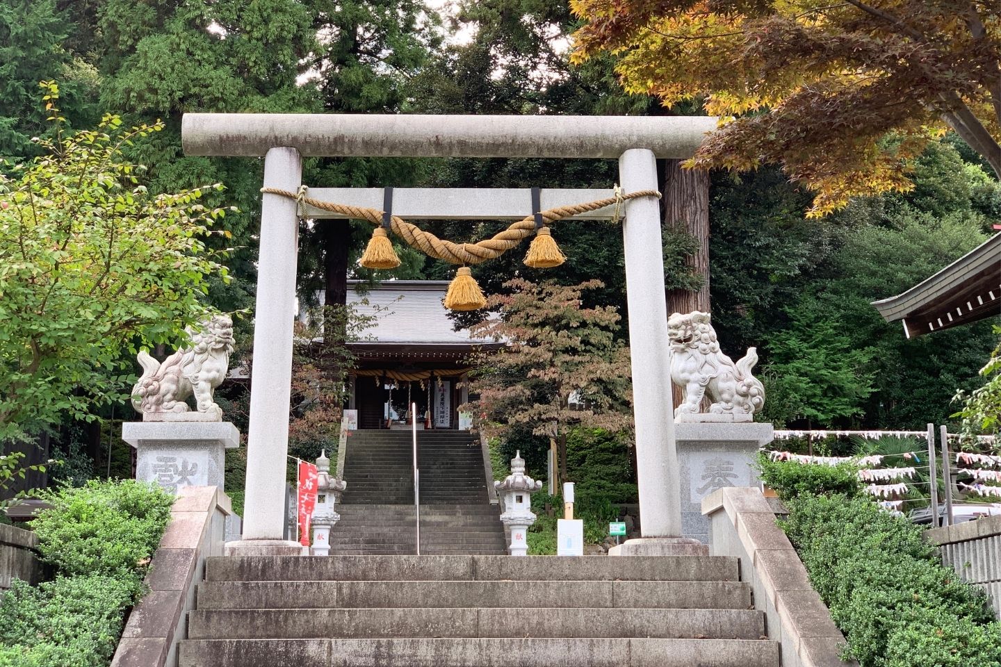 所沢 中氷川神社(山口)