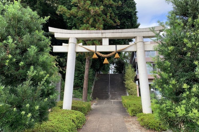 所沢 中氷川神社 鳥居と参道