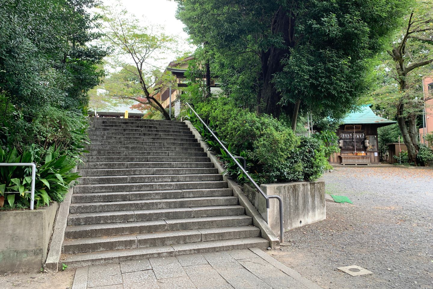 所澤神明社 大きな階段