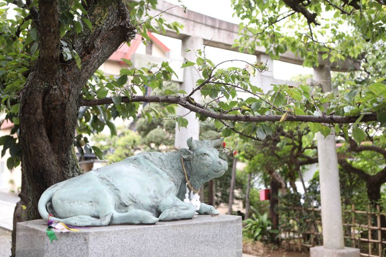 徳丸北野神社 なで牛