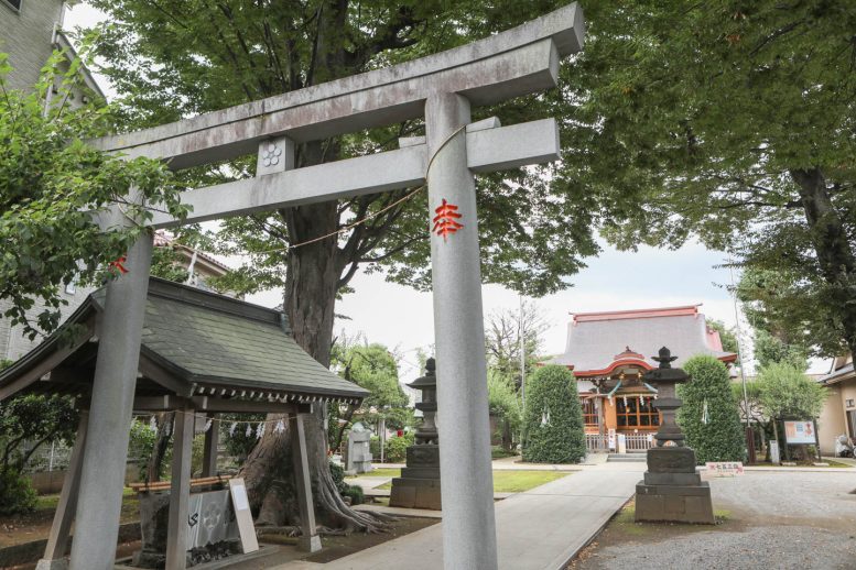 徳丸北野神社 参道