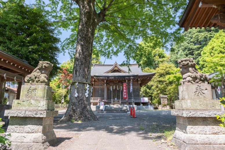 青渭神社