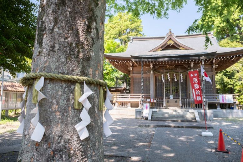 青渭神社 しめ縄のついた御神木