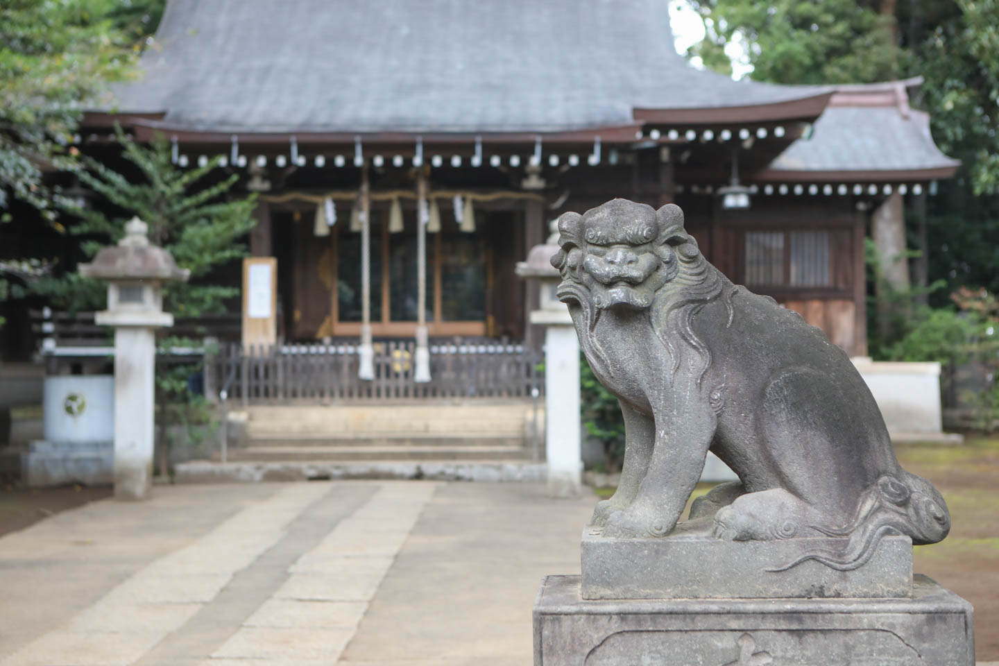 城山熊野神社 狛犬