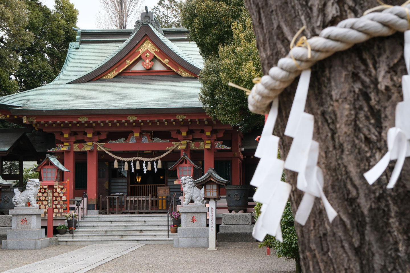 前川神社 本殿と御神木