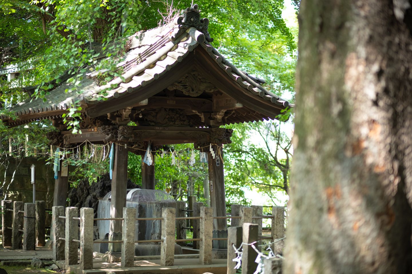 諏方神社 手水舎