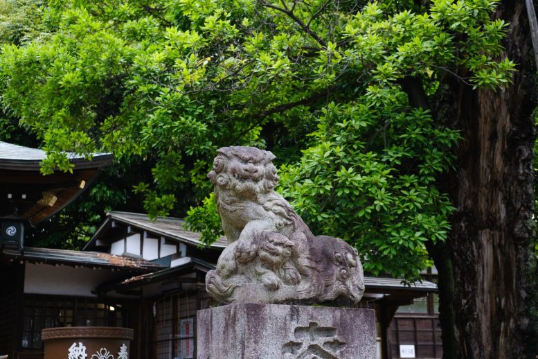 八雲氷川神社 狛犬