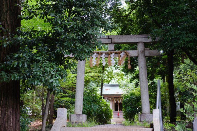 八雲氷川神社 境内の雰囲気