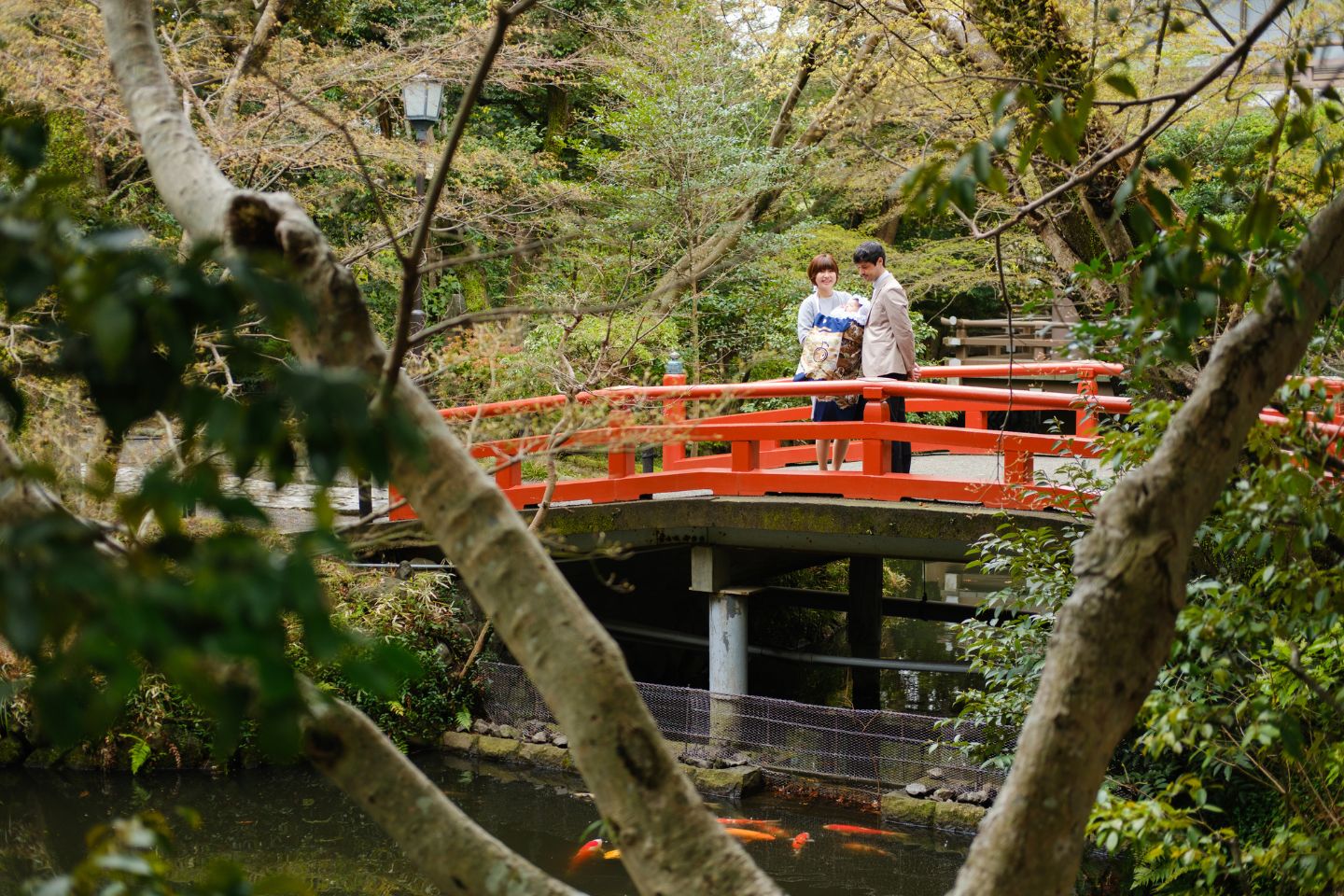 鶴岡八幡宮 赤い橋の上で鯉を眺める