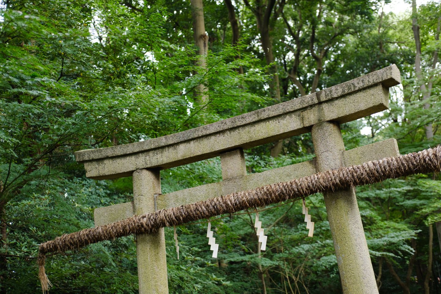 世田谷区 喜多見氷川神社  鳥居