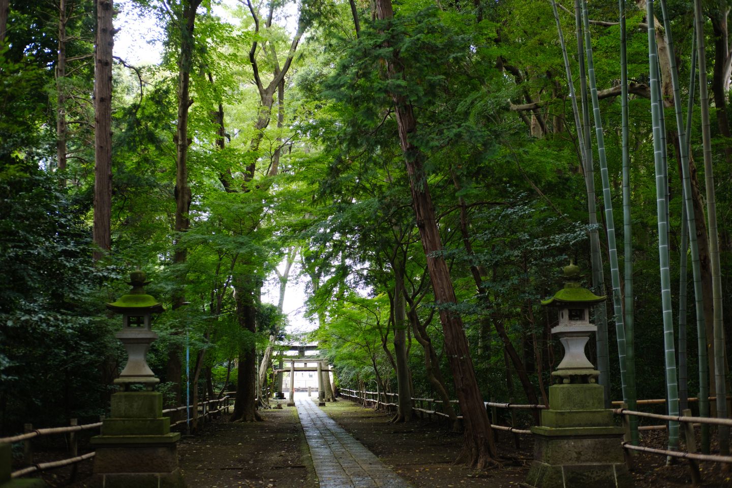 世田谷区 喜多見氷川神社 参道