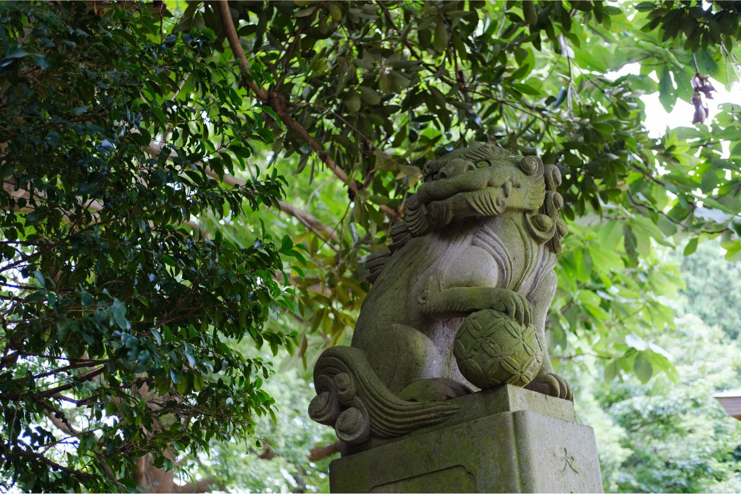 世田谷区 喜多見氷川神社 基本情報