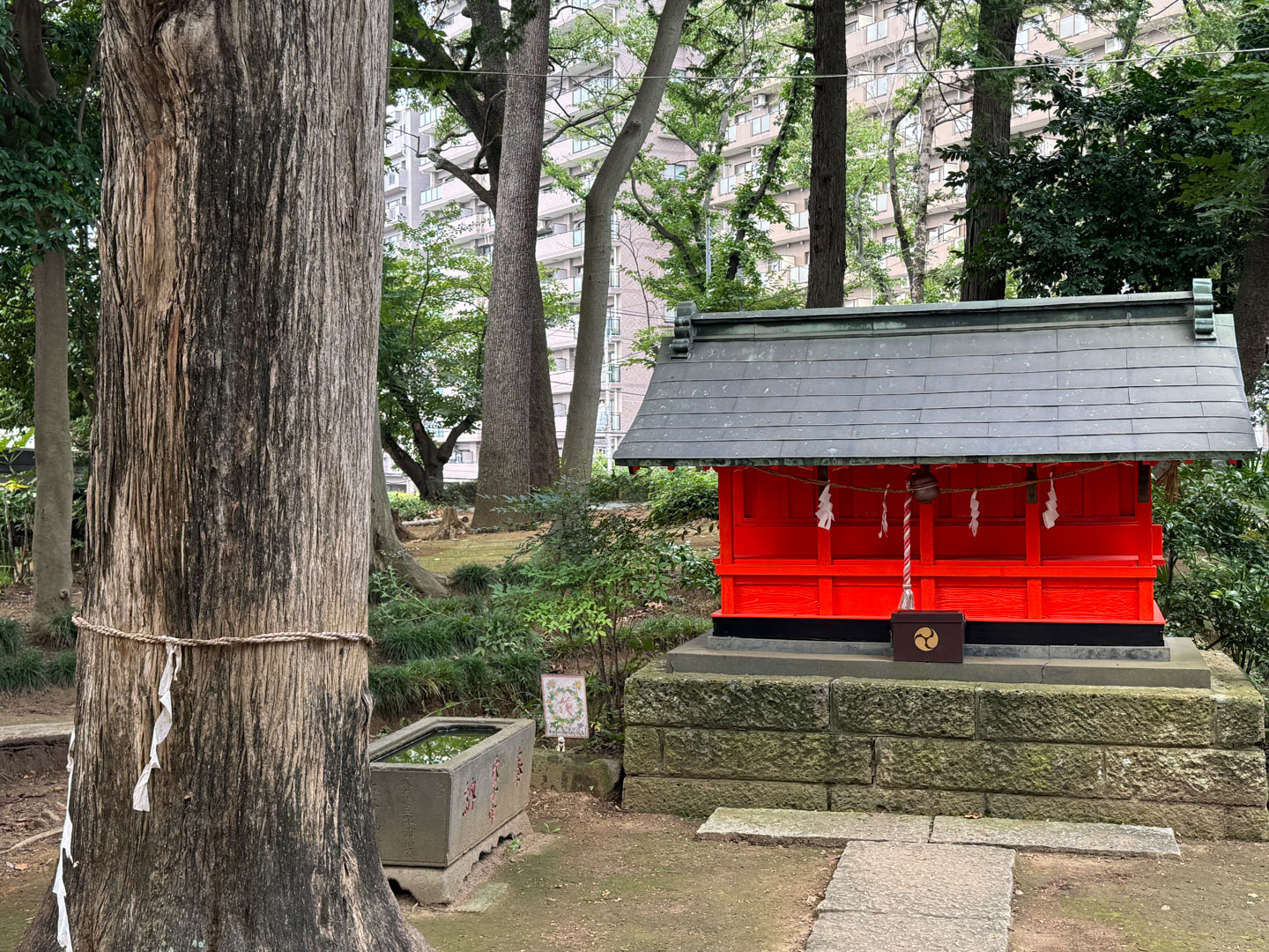 大谷場氷川神社 御神木など