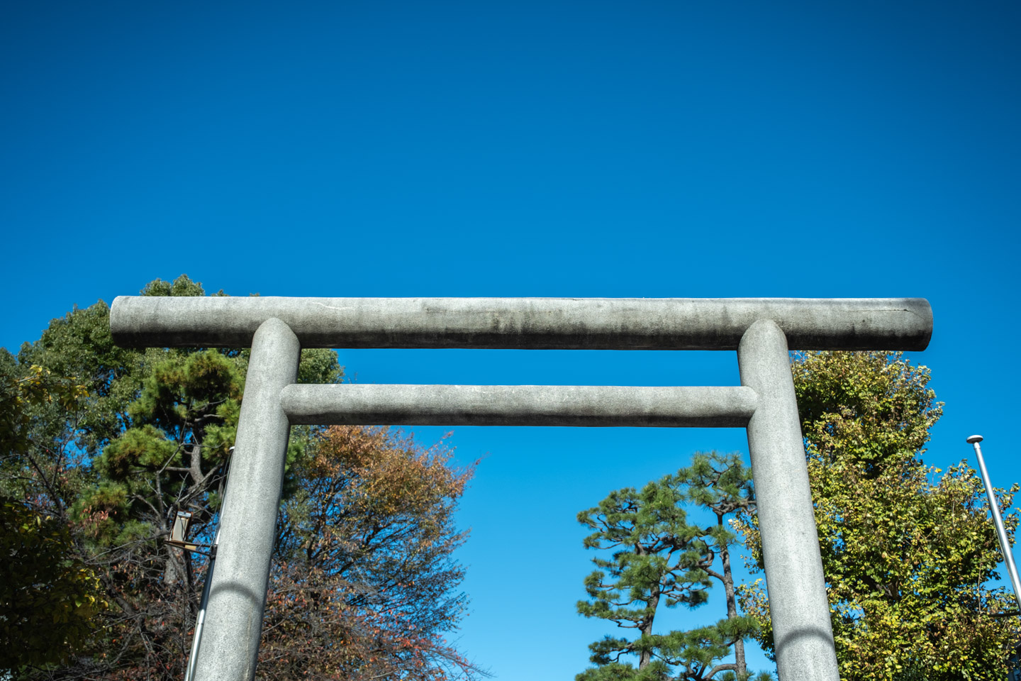 桜神宮 鳥居と秋の青空