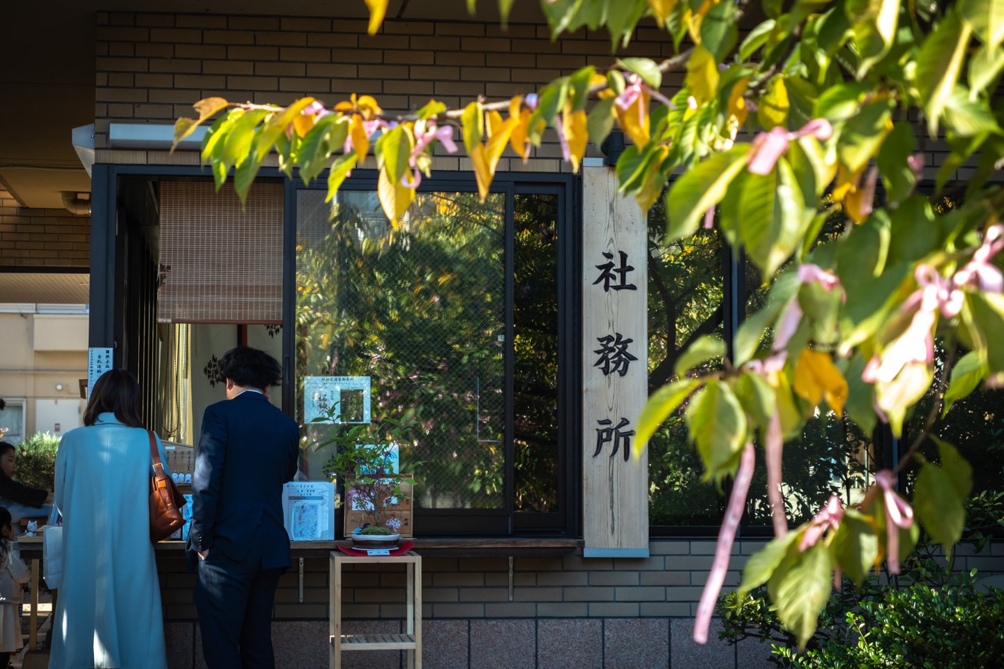 桜神宮　社務所