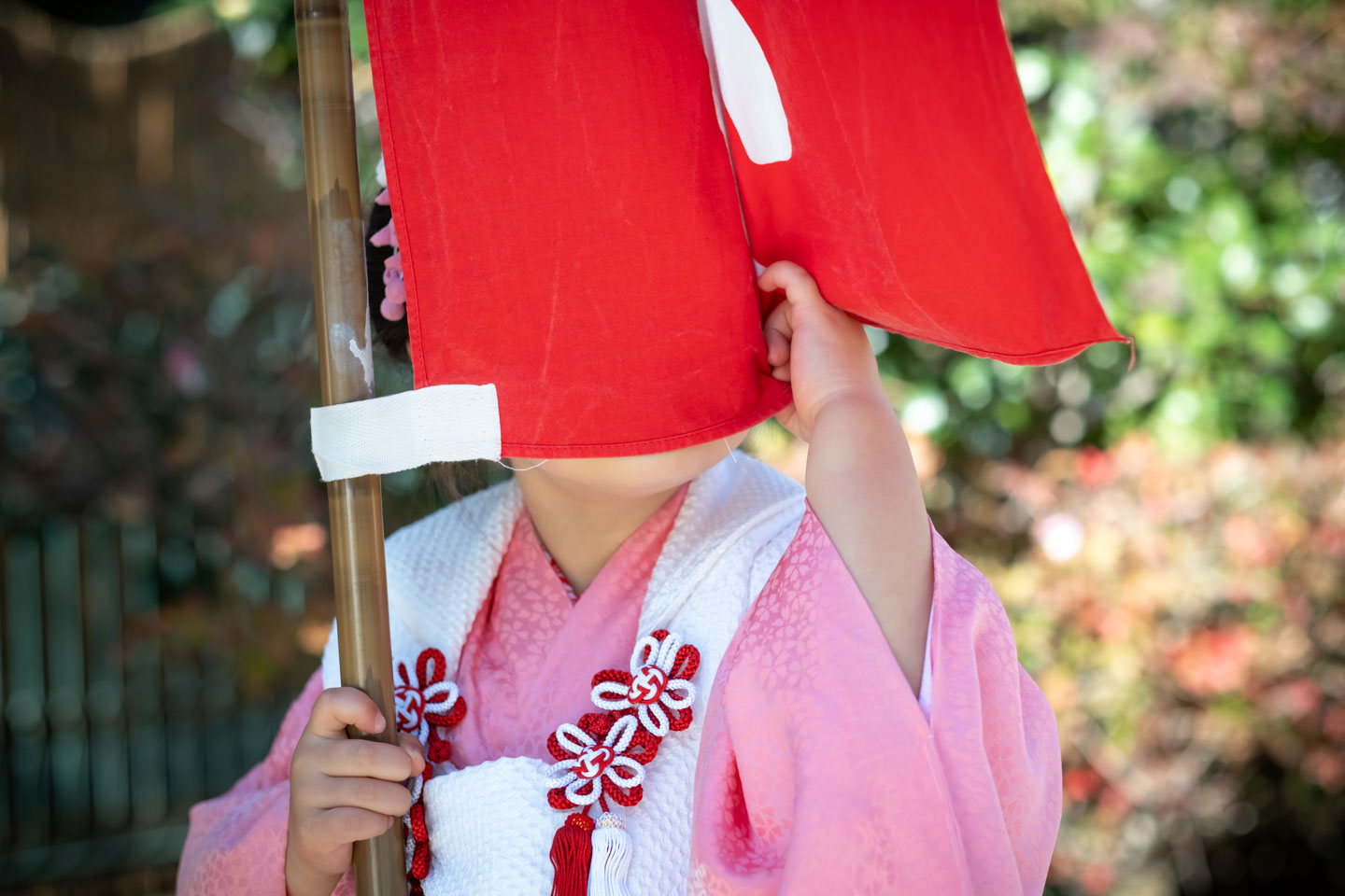 桜神宮 いないいないばあする七五三の女の子