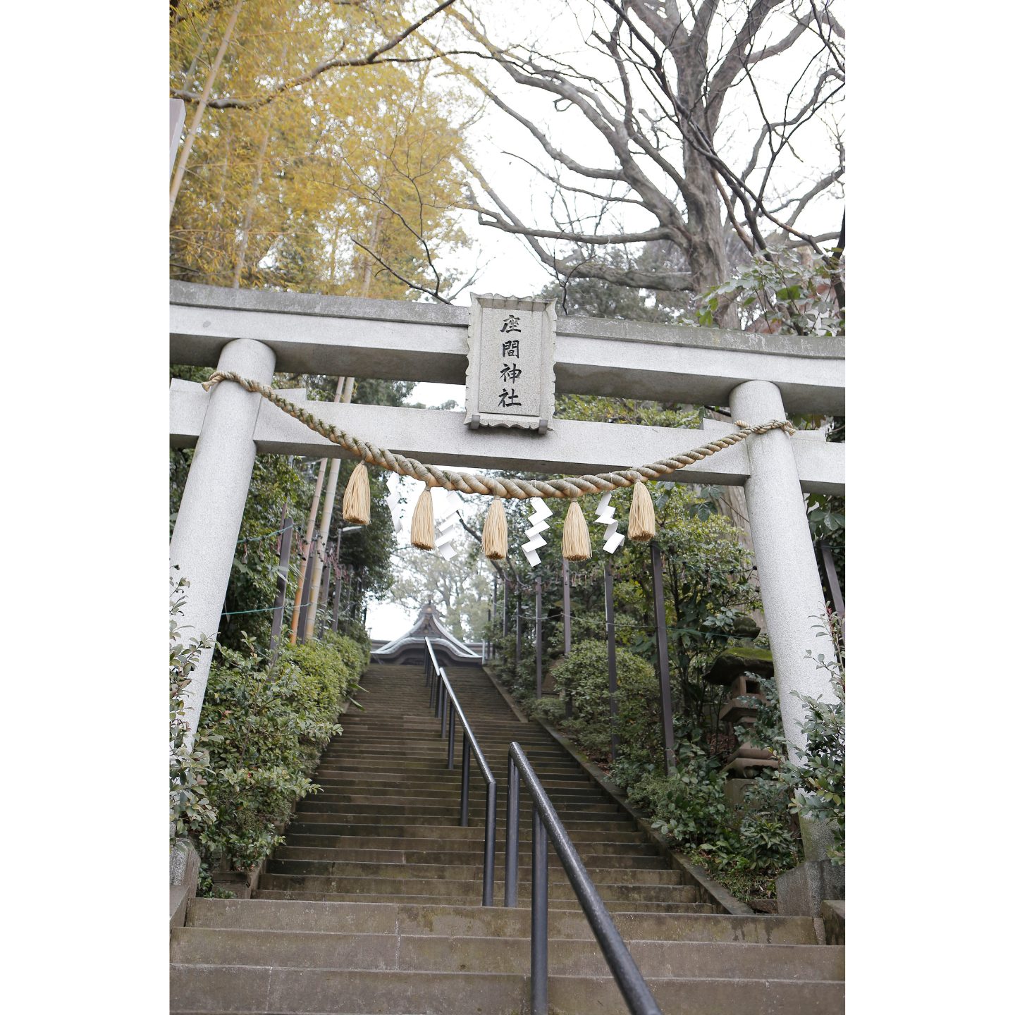 座間神社 鳥居と階段