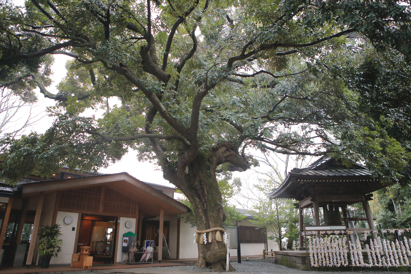 座間神社 お宮参りの受付