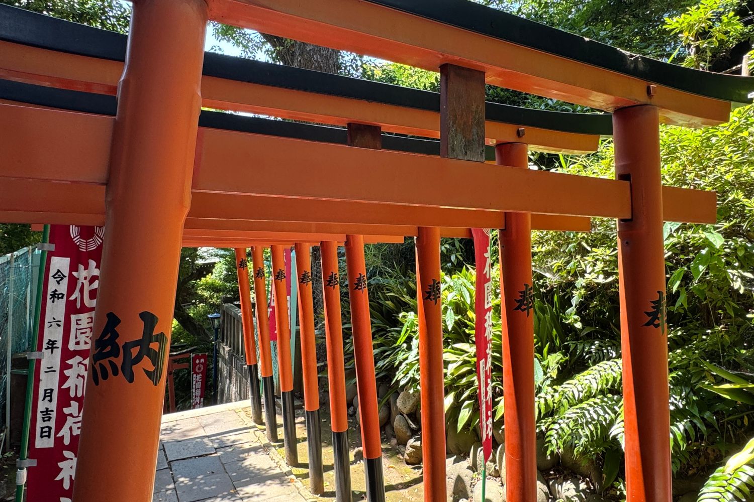 五條天神社 赤い鳥居トンネル