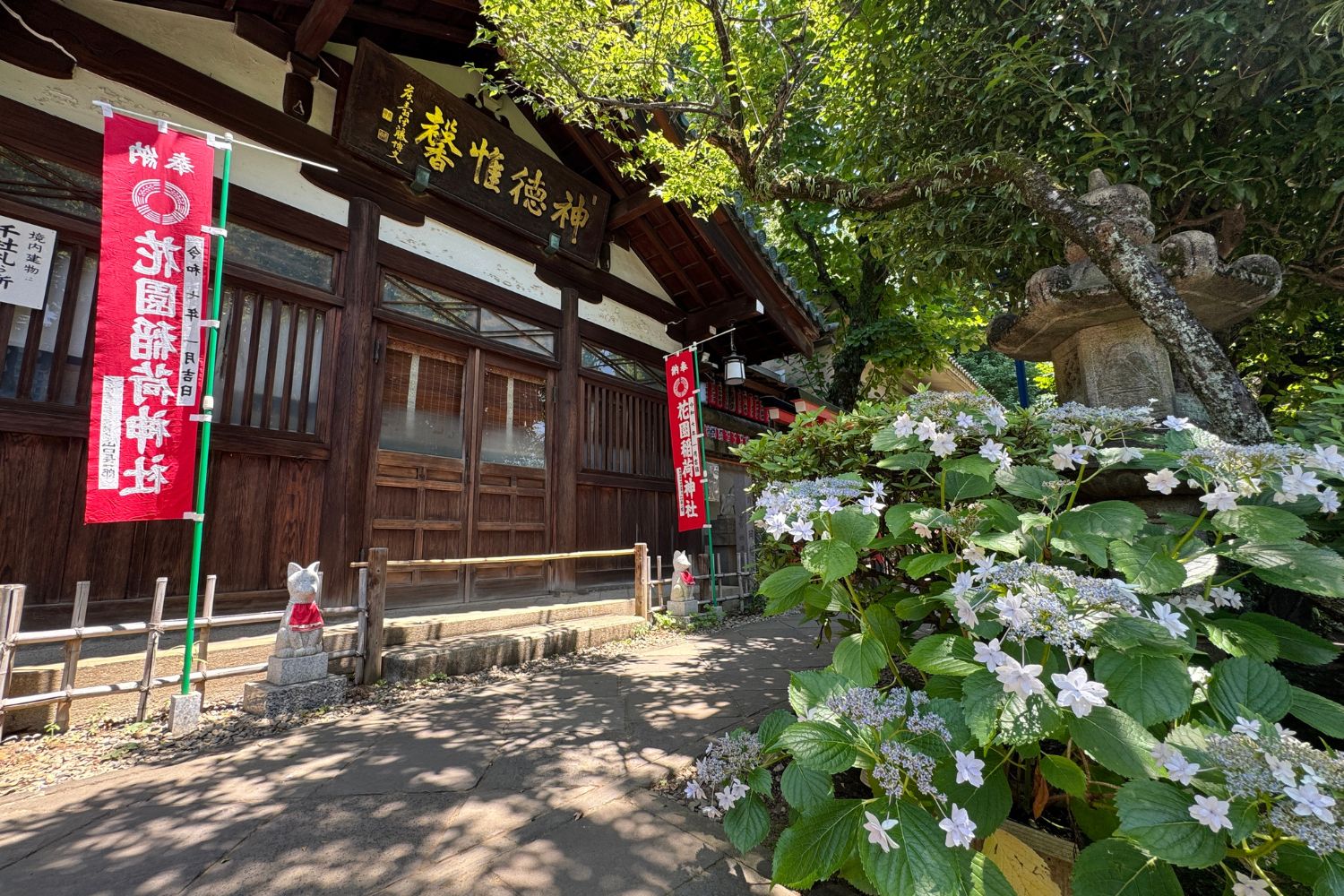 花園稲荷神社 狐と紫陽花