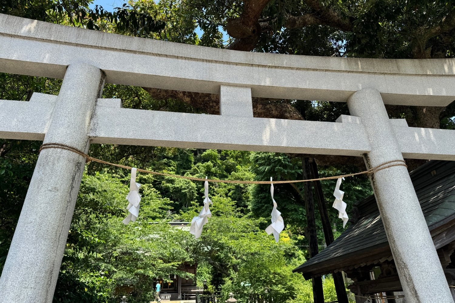 御霊神社 文化財