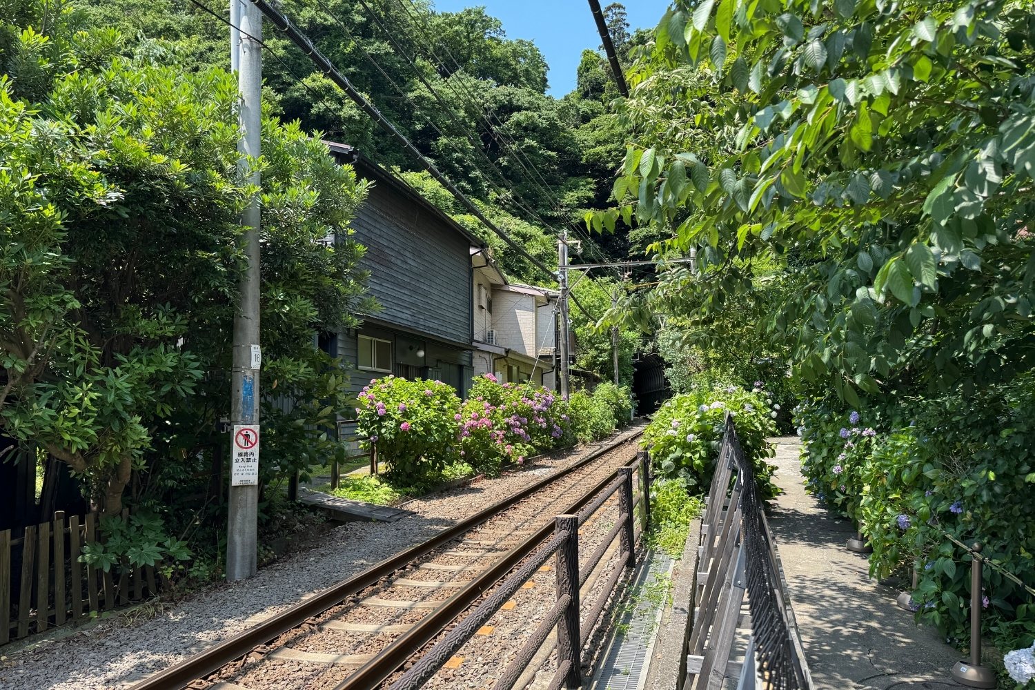 御霊神社 (鎌倉市) 線路沿い