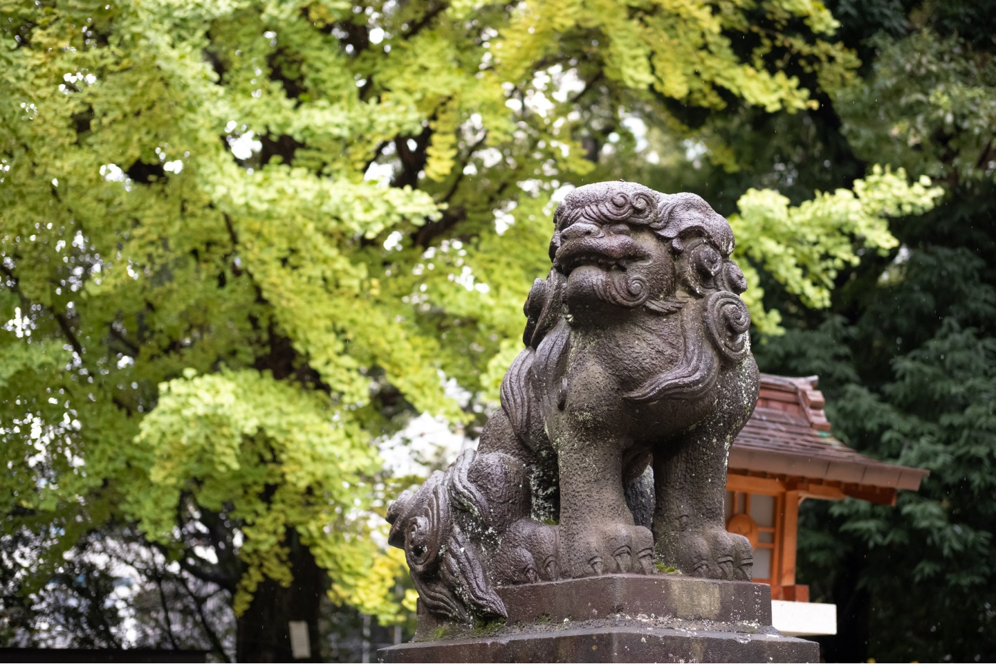 金王八幡宮 狛犬