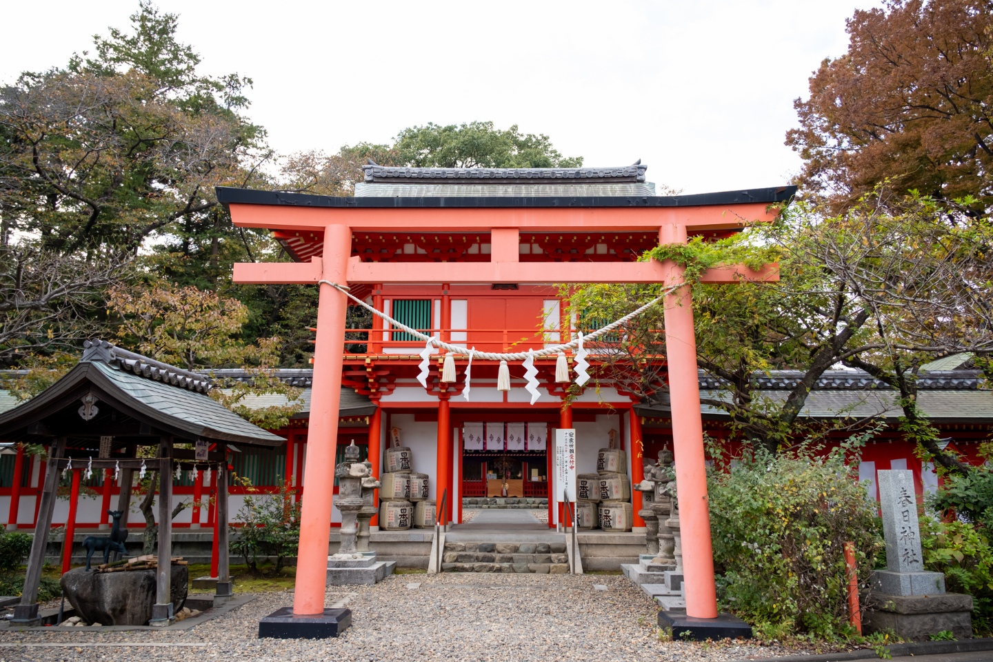 赤が映える相州春日神社